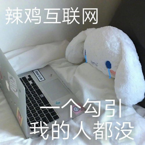  可爱大耳狗表情包原来玉桂狗是男的