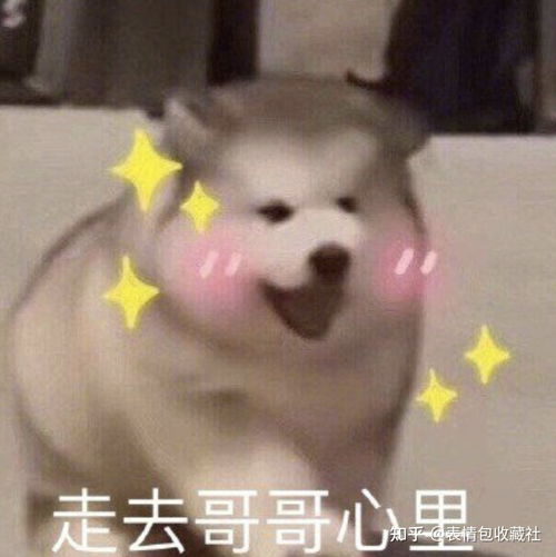  谁有微信表情包可爱的哪种