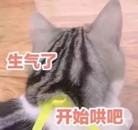 又不理我了表情包专治