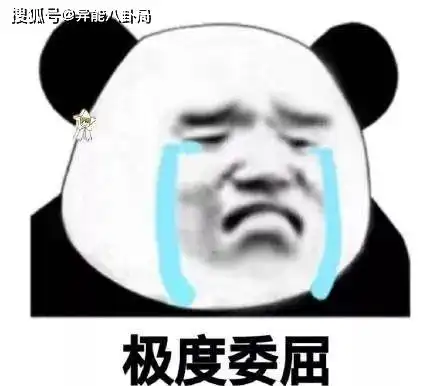 他们是不是有点过分了 他们是不是有点过分了