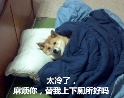  汪星人表情包太冷了,麻烦你,替我上下厕所好吗