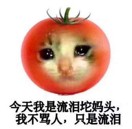  沙雕系列表情包沙雕果蔬表情包高清图集大全
