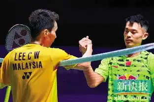 超越国界的林李大战 超越国界的林李大战