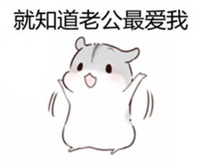  我老公呢表情包在哪里下载