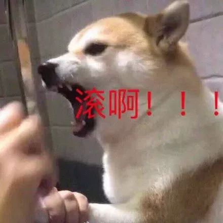 有点想你表情包