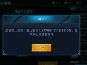  王者荣耀最罕见的六张截图,云中君被永久禁用,亚瑟成赏金限定