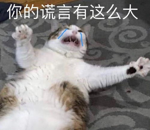  表情包你可真能作