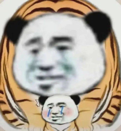  虎头表情包