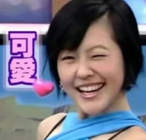  上头王思聪聊天记录里的表情包,雅思考生看了直呼内行...