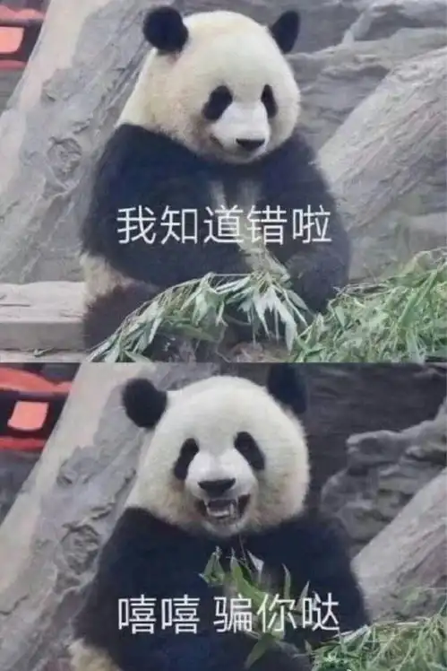 安慰奖表情包图片对方