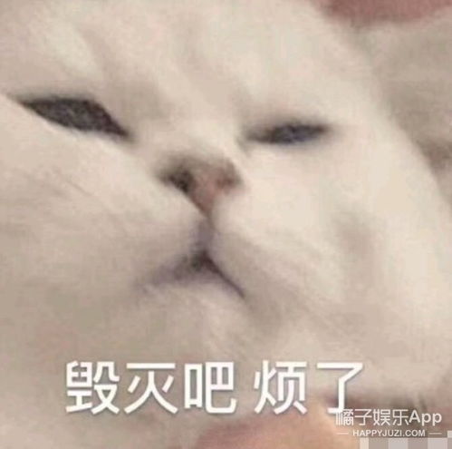 我感觉我抑郁了表情包傻