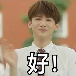  夏至未至白敬亭陆之昂带字搞笑表情包给你能的