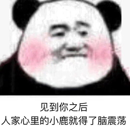  我的收藏夹