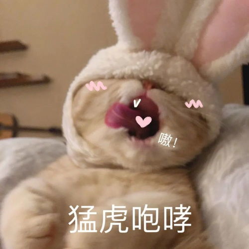  情侣表情包跟对象撒娇,这26张表情最好用
