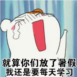 大家好表情包搞笑暑假