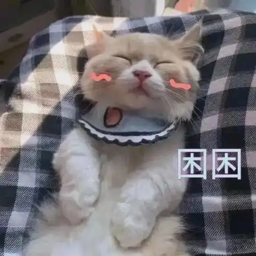 表情包清醒知趣,保持自信 表情包清醒知趣,保持自信