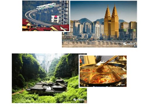 逆时光之旅,让郭富城林志颖憋成表情包 逆时光之旅,让郭富城林志颖憋成表情包