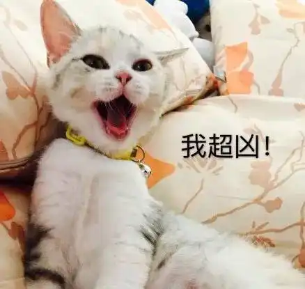 行走的表情喵喵星人表情包,萌爆了