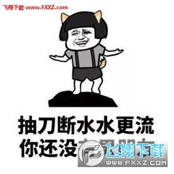  路见不平一声吼就你没有女朋友表情包下载飞翔下载