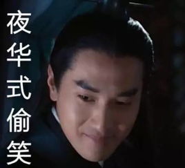  福利给你们要的夜华赵又廷