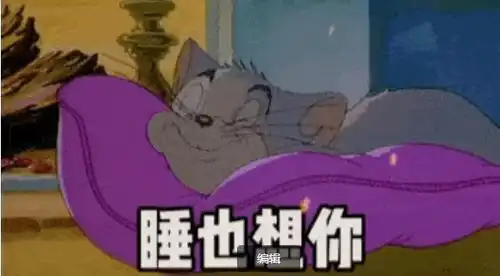谁也想你不睡也想你表情包丨这是你要的猫和老鼠表情包吗 谁也想你不睡也想你表情包丨这是你要的猫和老鼠表情包吗