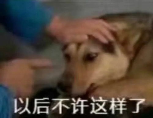 不是np文就不要把炮灰攻写那么好了,真让人膈应啊