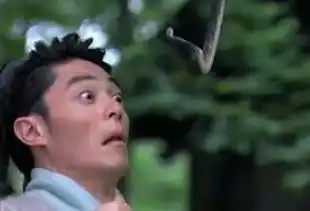 北大才子法制王子子怡男友其实他是表情包 北大才子法制王子子怡男友其实他是表情包