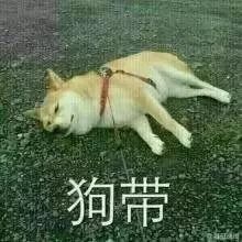  体育不好是什么样的体验,你经历过绝望吗