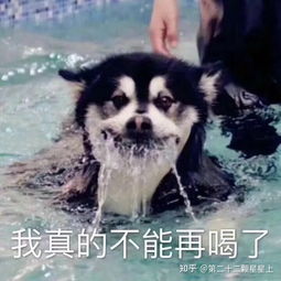  有人爆一下肖战的料吗