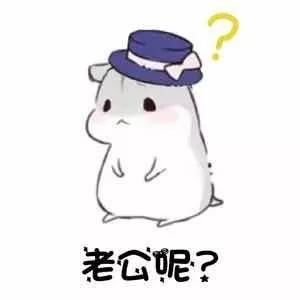  仓鼠情侣表情包老婆我想你了,老公我想你了