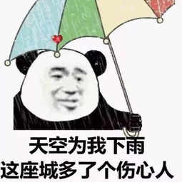  多雨夏季,这些雨天行车秘籍必须掌握