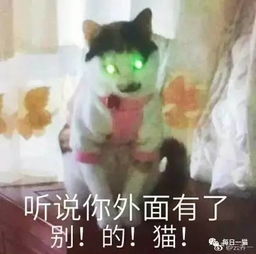  一大波表情包来袭,最后一个超实用,收藏