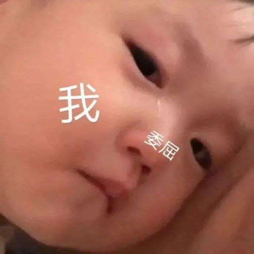  沙雕表情包丨拍下你开车的证据