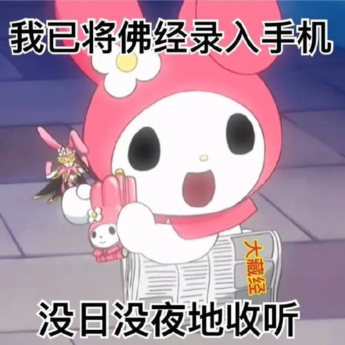  阴阳大师美乐蒂表情包欢迎来到尼姑庵的世界