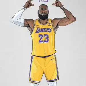 詹姆斯带王冠表情包