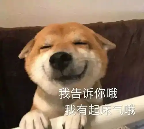 恩想你想你想你表情包狗