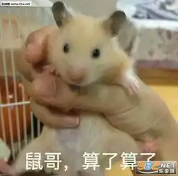  猪哥算了算了表情包狗哥算了算了表情包下载乐游网游戏下载