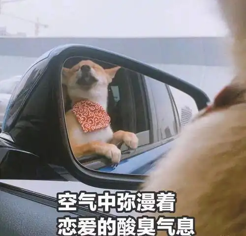  几套男生穿搭技巧,教你脱单,提升男人气质,再也不舔狗粮了