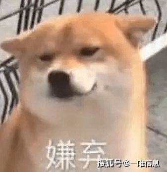  你还在截图教父母如何操作电脑吗远程协助,拒绝繁琐