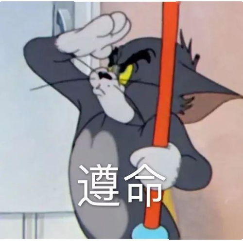  表情包猫和老鼠专辑