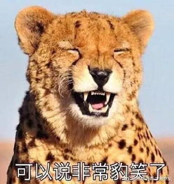  济南一男子收费站处玩起闯关游戏,一天之内五次闯卡,被抓后竟然这么解释