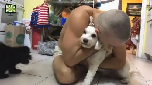 怎么被抱的那么紧,看狗狗的表情,真的是生无可恋啊 怎么被抱的那么紧,看狗狗的表情,真的是生无可恋啊