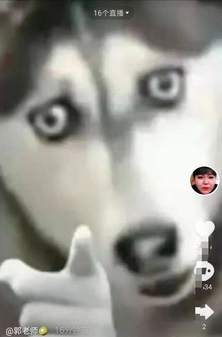  网红郭老师的账号被永久封禁,诉苦称自己无辜,网友喜大普奔
