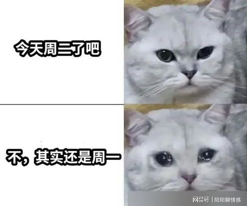  支持五一调休原因有这些,不接受反驳