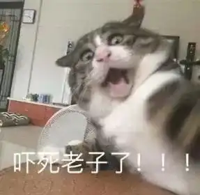 国内首创快充40的硅胶充电线,10000次暴力折叠永不断,可以用一辈子 国内首创快充40的硅胶充电线,10000次暴力折叠永不断,可以用一辈子