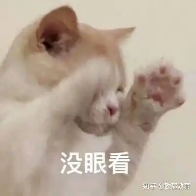 猫猫跳舞表情包