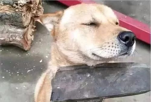  三十而立,我们应该怎么做金融