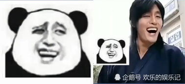  熊猫头表情包的设计原型是谁忍了崔成国,香菜,看到他笑惨了