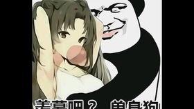  怼人表情包合集