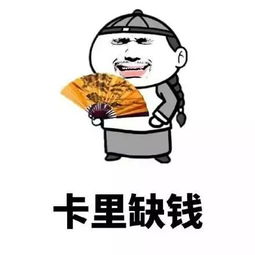 没有520,照过双十一